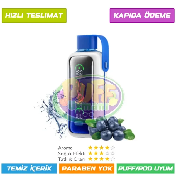 Vozol Star 20000 Puff Blueberry Storm